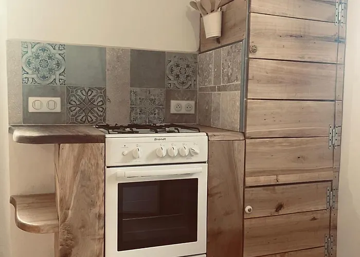 別荘 Lou Grana Le Collet-de-Dèze